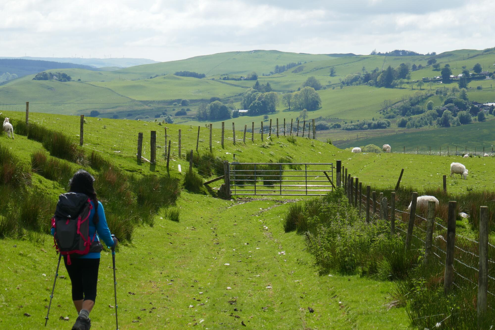 RachelSeabrook.net | Wild Walking | Devils-Bridge; pic69
